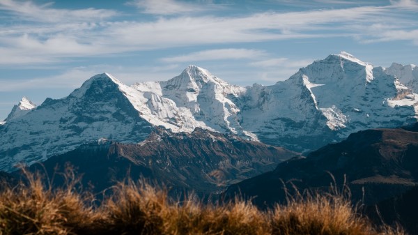 Mountain Snow Grass Wallpaper