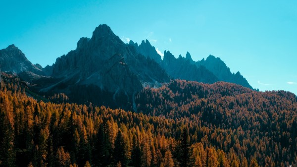 Mountain Trees Autumn Wallpaper