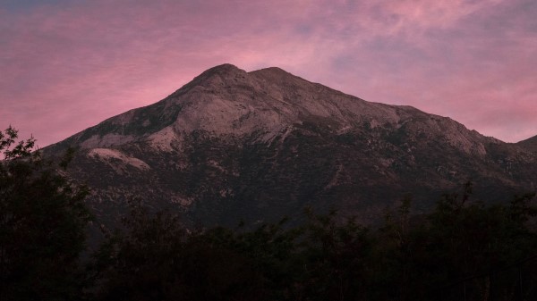 Mountain Trees Dusk Wallpaper