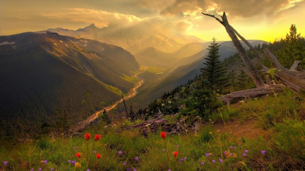 Mountain View From Top Wide Wallpaper