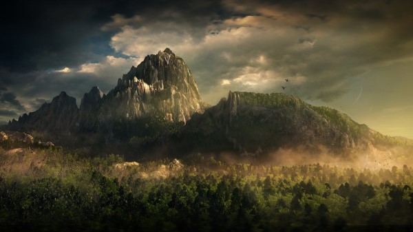 Mountains Birds Trees Clouds Fog Tops Wallpaper