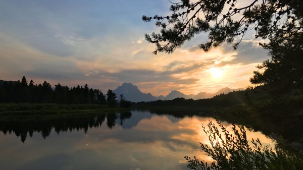 Mountains Branches Lake Wallpaper
