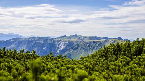 Mountains Bushes Landscape Wallpaper