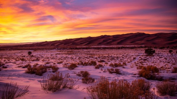 Mountains Bushes Sunset Wallpaper