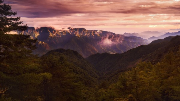 Mountains Clouds Spruce Wallpaper
