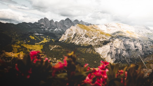 Mountains Flowers Clouds Wallpaper