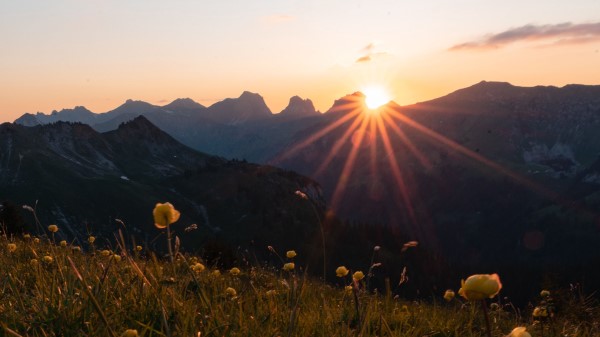 Mountains Flowers Rays Wallpaper
