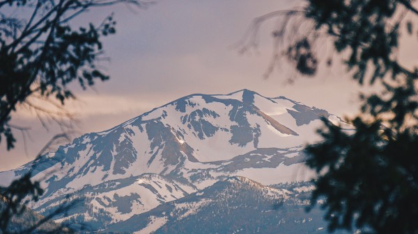Mountains Fog Branches Wallpaper