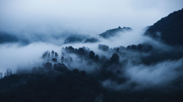 Mountains Fog Clouds Wall Wallpaper