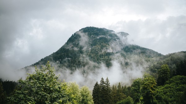 Mountains Fog Forest Image Wallpaper