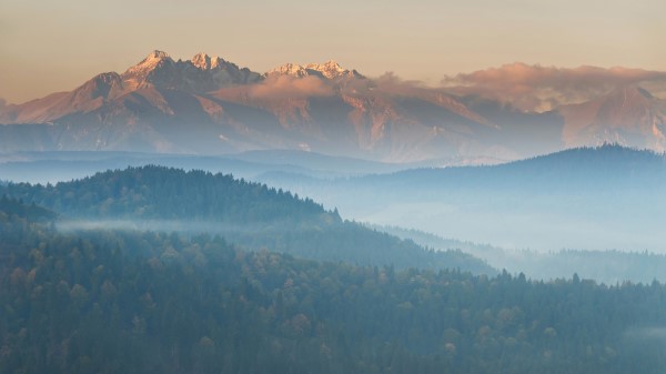 Mountains Fog Top View Trees Wallpaper