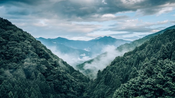 Mountains Fog Trees Image Wallpaper
