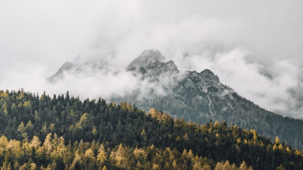Mountains Fog Trees Picture Wallpaper