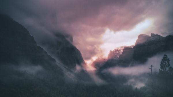 Mountains Fog Trees Wallpaper