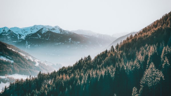 Mountains Forest Fog Photo Wallpaper