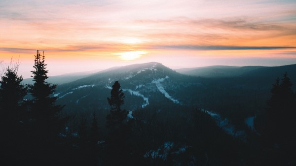 Mountains Forest Fog Picture Wallpaper