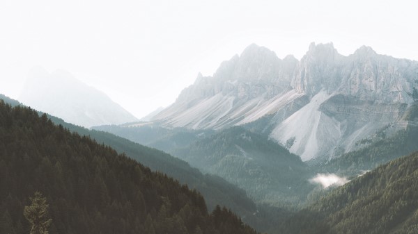 Mountains Forest Fog Wallpaper