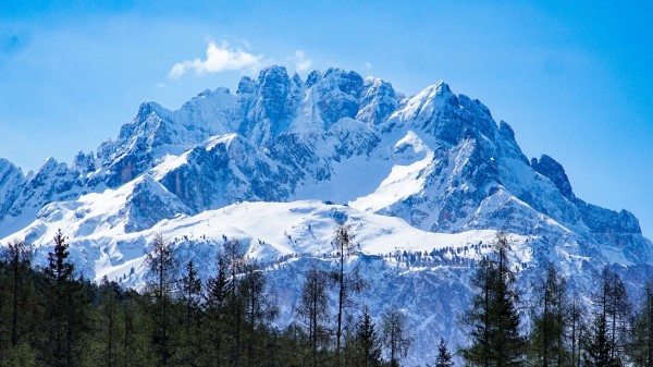 Mountains Forest Landscape Wallpaper