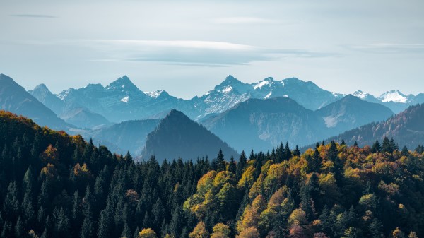 Mountains Forest Peaks Wallpaper
