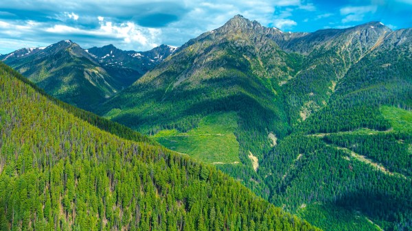 Mountains Forest Slope Wallpaper