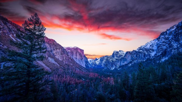 Mountains Forest Twilight Wallpaper