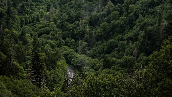 Mountains Forest Valley Image Wallpaper
