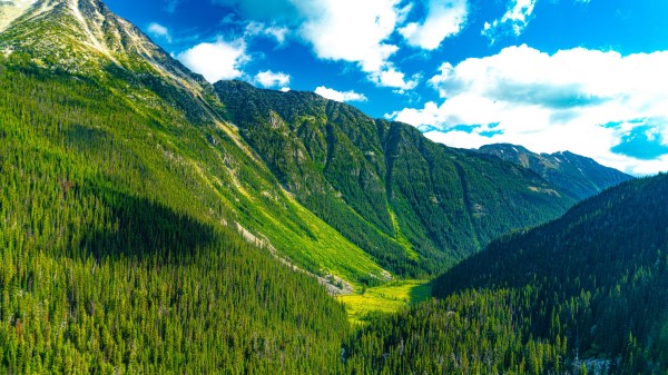 Mountains Forest Valley Picture Wallpaper