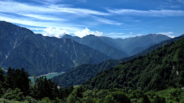 Mountains Forest Valley Wallpaper