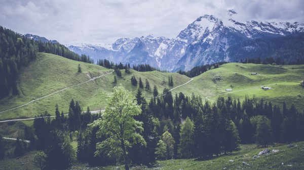 Mountains Grass Forest Meadow Pasture Wallpaper