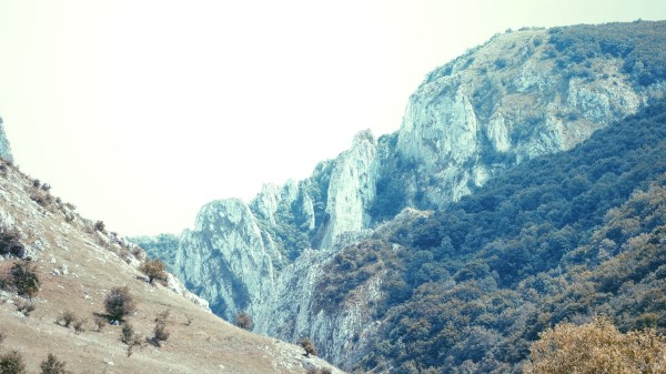 Mountains Highland Ridge Trees Wallpaper