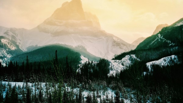 Mountains Highland Trees Wallpaper