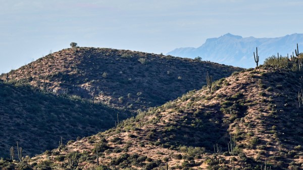 Mountains Hill Cacti Wallpaper