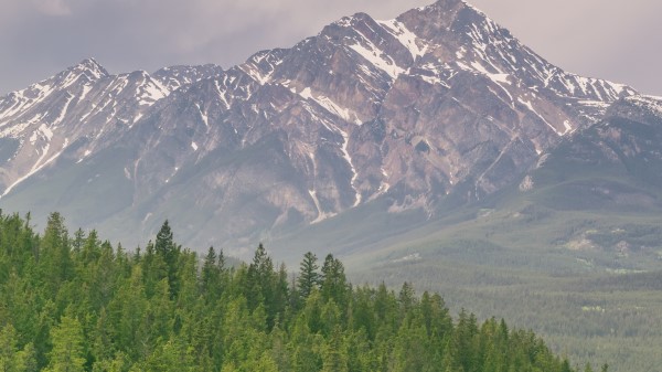 Mountains Hills Distance Trees Wallpaper