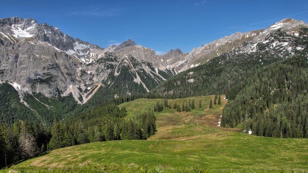 Mountains Hills Trees Grass Landscape Wallpaper