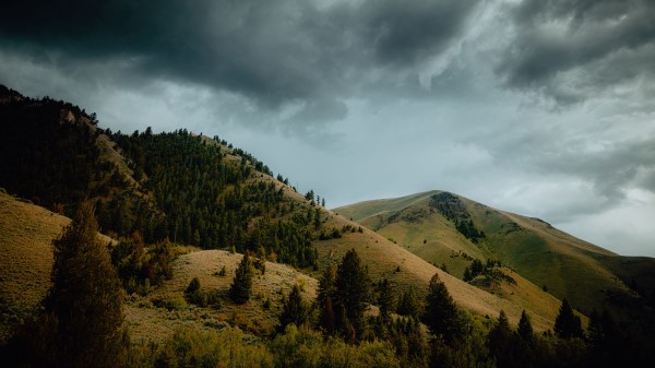 Mountains Hills Trees Wallpaper