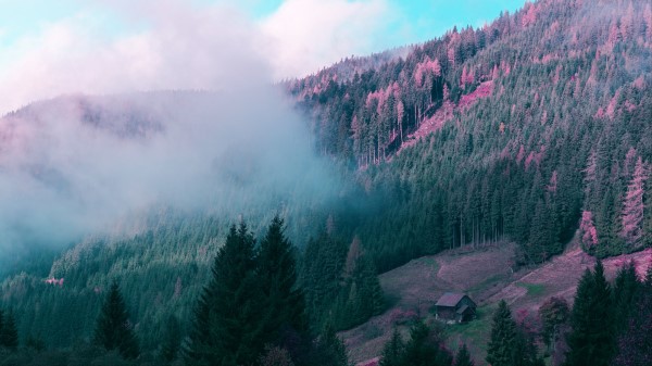 Mountains House Trees Wallpaper