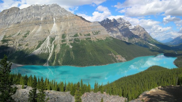 Mountains Lake Blue Water Wood Coniferous Purity Bottom Wallpaper
