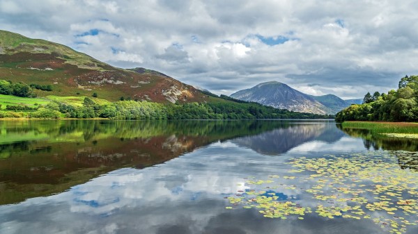 Mountains Lake Forest Picture Wallpaper