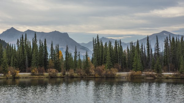 Mountains Lake Spruce Picture Wallpaper