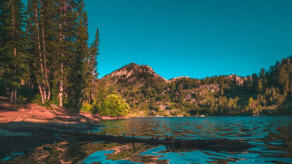Mountains Lake Trees Wall Wallpaper