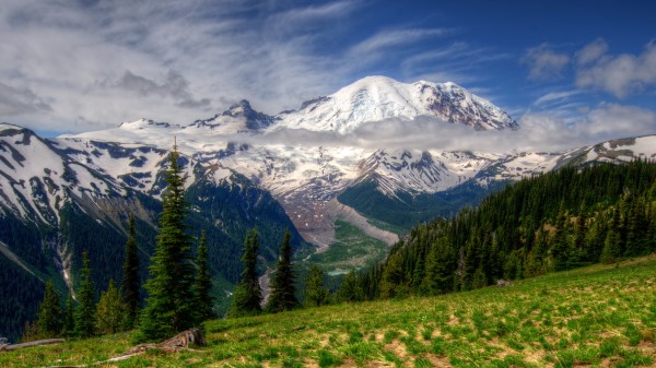 Mountains Landscape Mt Rainier Washington Grass Hdr Wallpaper