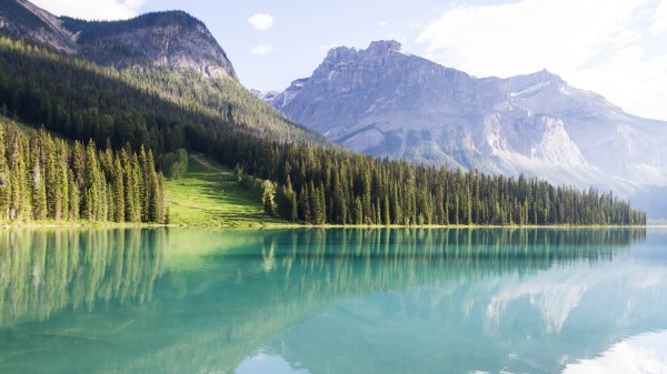 Mountains Landscape Trees Lake Peyto Wallpaper
