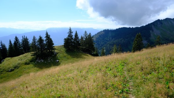 Mountains Path Trees Image Wallpaper