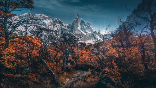 Mountains Path Trees Wallpaper