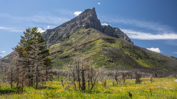 Mountains Peak Grass Wallpaper