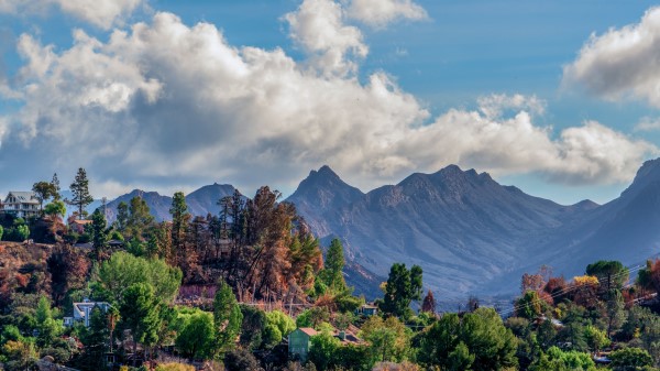 Mountains Peak Trees Image Wallpaper