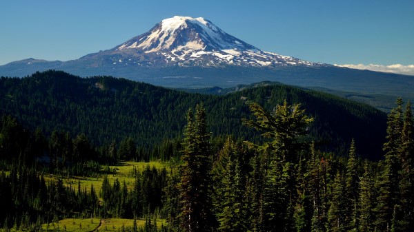 Mountains Peak Trees Picture Wallpaper