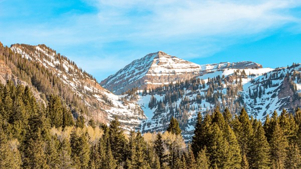 Mountains Peak Trees Wallpaper