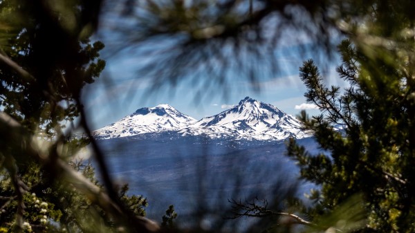 Mountains Peaks Branches Wallpaper
