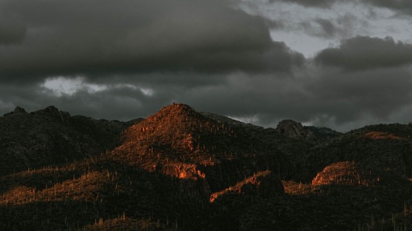 Mountains Peaks Cacti Wallpaper